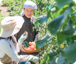 自然循環型農法による土壌づくりの現場